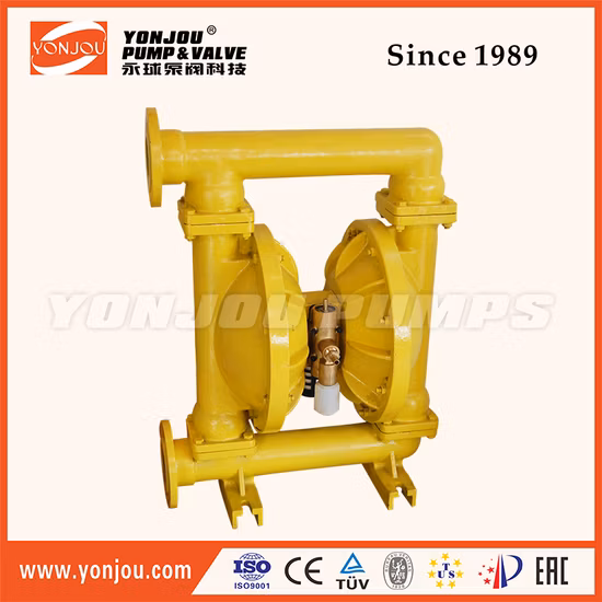 PTFE 라이닝이 있는 주철 재질의 공압 다이어프램 펌프